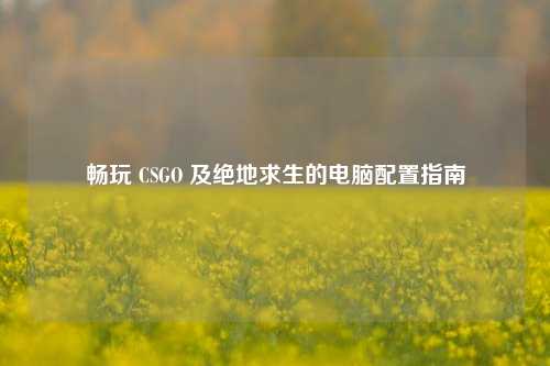 畅玩 CSGO 及绝地求生的电脑配置指南