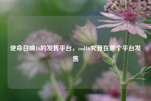 使命召唤16的发售平台,cod16究竟在哪个平台发售
