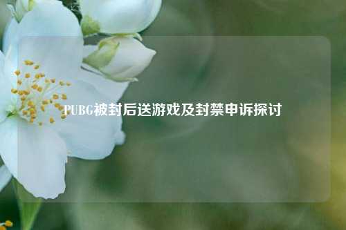 PUBG被封后送游戏及封禁申诉探讨