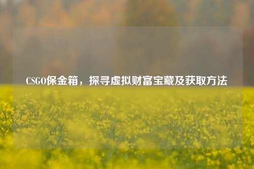 CSGO保金箱,探寻虚拟财富宝藏及获取