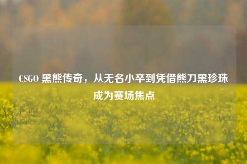 CSGO 黑熊传奇,从无名小卒到凭借熊刀黑珍珠成为赛场焦点