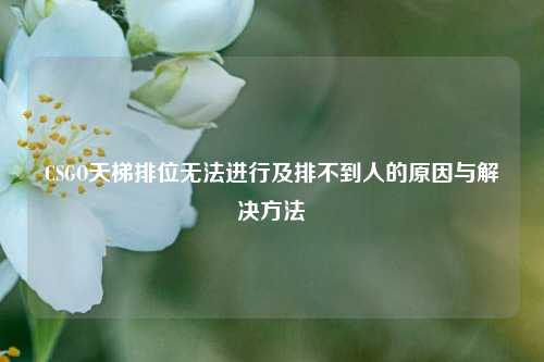CSGO天梯排位无法进行及排不到人的原因与解决