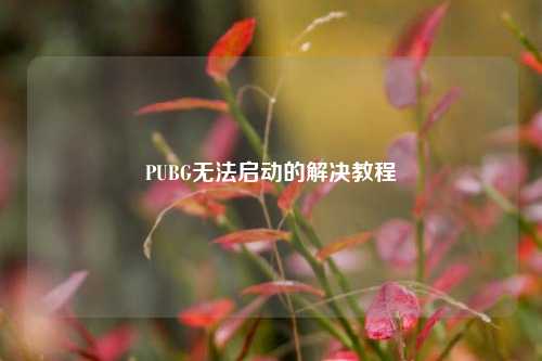PUBG无法启动的解决教程