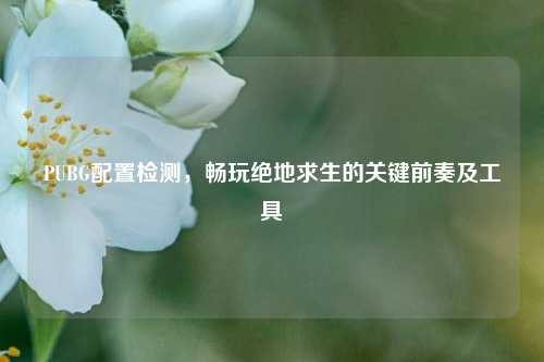 PUBG配置检测,畅玩绝地求生的关键前奏及工具