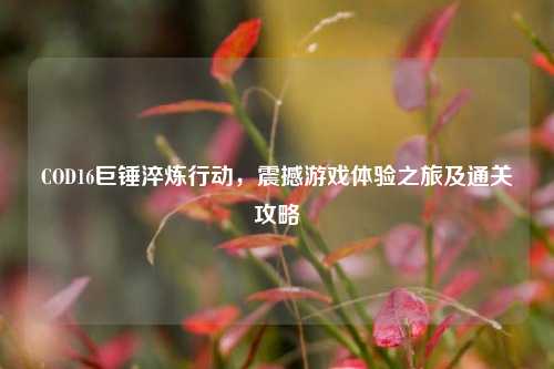 COD16巨锤淬炼行动,震撼游戏体验之旅及通关攻略