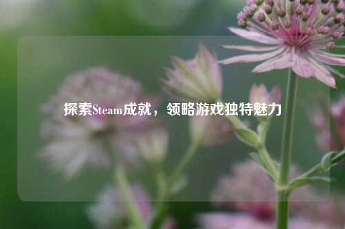 探索Steam成就,领略游戏独特魅力