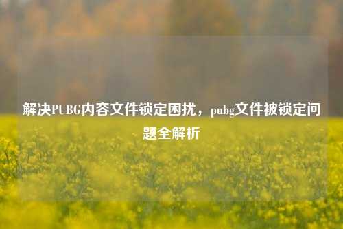 解决PUBG内容文件锁定困扰,pubg文件被锁定问题全解析