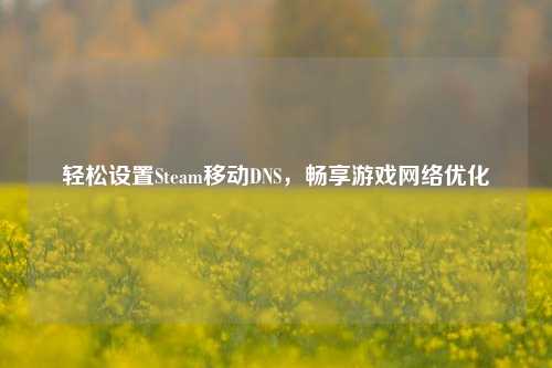 轻松设置Steam移动DNS,畅享游戏 优化