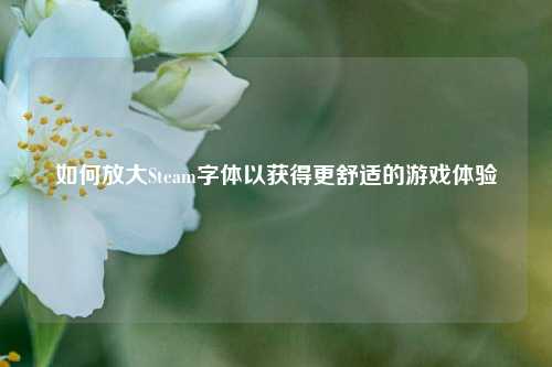 如何放大Steam字体以获得更舒适的游戏体验