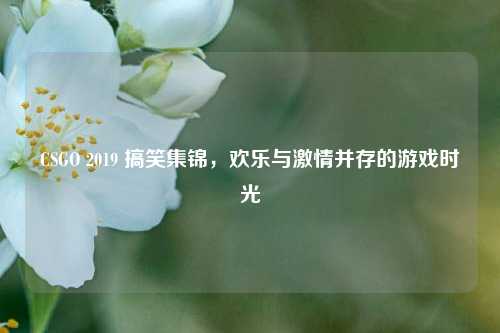 CSGO 2019 搞笑集锦,欢乐与 并存的游戏时光