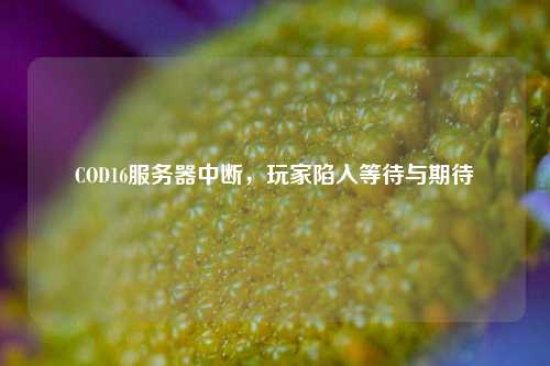 COD16服务器中断,玩家陷入等待与期待