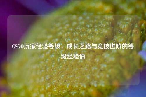 CSGO玩家经验等级,成长之路与竞技进阶的等级经验值