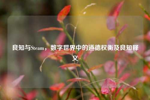 良知与Steam,数字世界中的道德权衡及良知释义