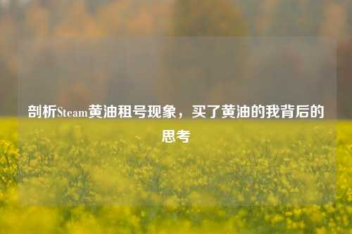剖析Steam黄油租号现象,买了黄油的我背后的思考