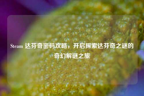 Steam 达芬奇密码攻略,开启探索达芬奇之谜的奇幻解谜之旅