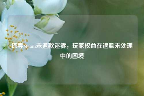 探寻Steam未退款迷雾,玩家权益在退款未处理中的困境