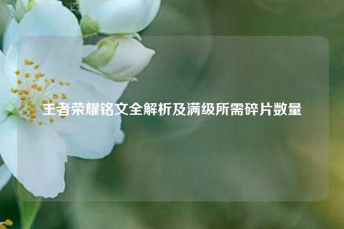 王者荣耀铭文全解析及满级所需碎片数量