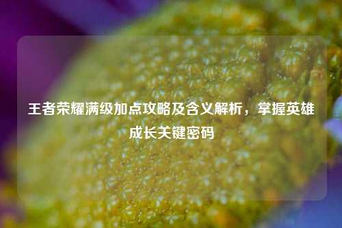 王者荣耀满级加点攻略及含义解析,掌握英雄成长关键密码