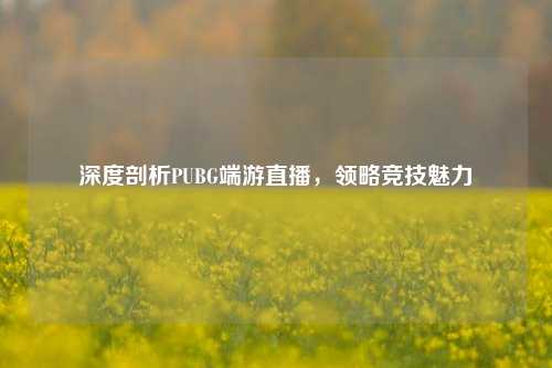 深度剖析PUBG端游直播,领略竞技魅力