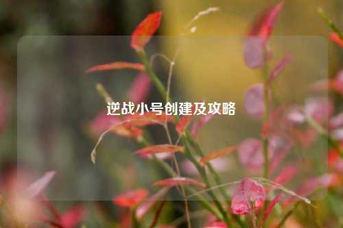 逆战小号创建及攻略