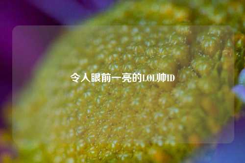 令人眼前一亮的LOL帅ID