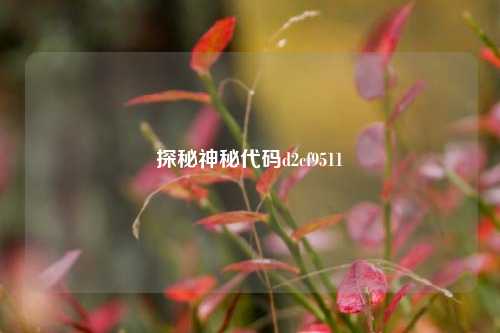 探秘神秘代码d2cf9511