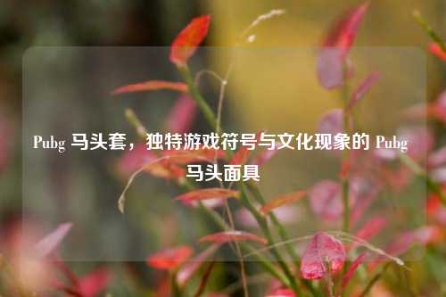 Pubg 马头套,独特游戏符号与文化现象的 Pubg 马头面具