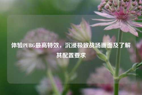 体验PUBG更高特效,沉浸极致战场画面及了解其配置要求