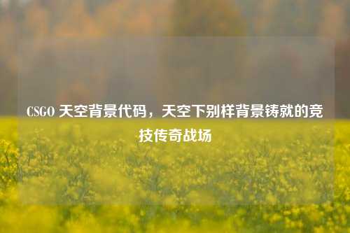 CSGO 天空背景代码,天空下别样背景铸就的竞技传奇战场