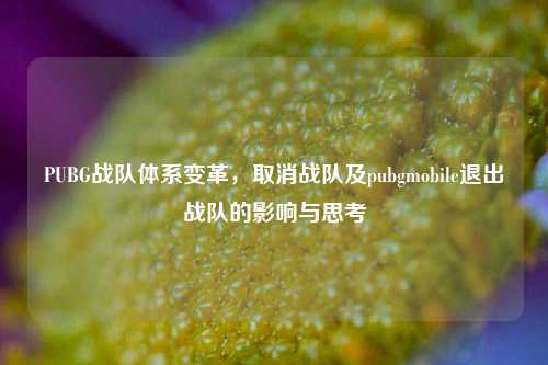 PUBG战队体系变革,取消战队及pubgmobile退出战队的影响与思考
