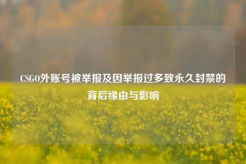 CSGO外账号被举报及因举报过多致永久封禁的背后缘由与影响