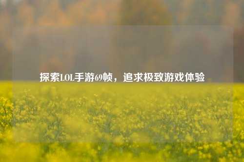 探索LOL手游69帧,追求极致游戏体验