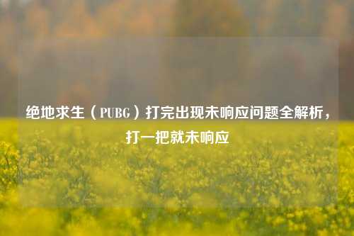 绝地求生(PUBG)打完出现未响应问题全解析,打一把就未响应