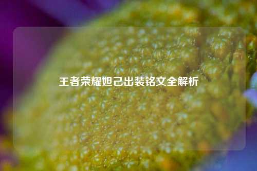 王者荣耀妲己出装铭文全解析