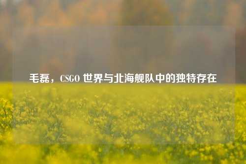 毛磊,CSGO 世界与北海舰队中的独特存在