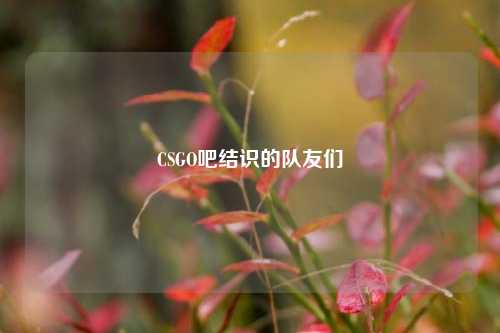 CSGO吧结识的队友们