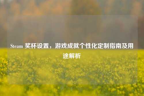 Steam 奖杯设置,游戏成就个性化定制指南及用途解析