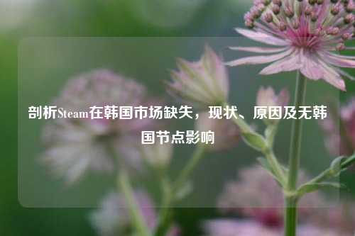 剖析Steam在韩国市场缺失,现状、原因及无韩国节点影响
