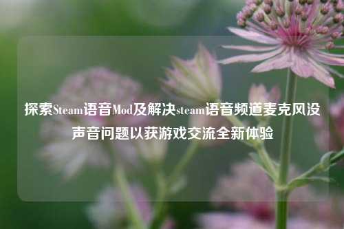 探索Steam语音Mod及解决steam语音频道麦克风没声音问题以获游戏交流全新体验