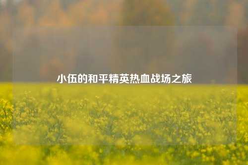 小伍的和平精英热血战场之旅
