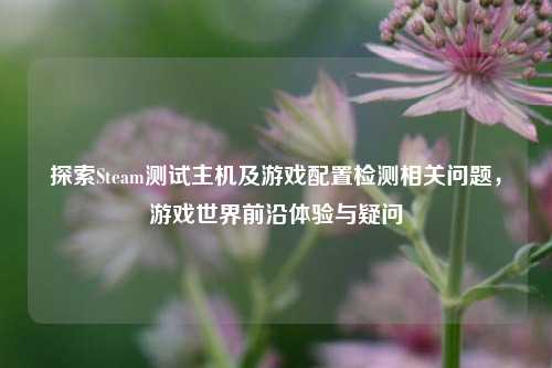 探索Steam测试主机及游戏配置检测相关问题,游戏世界前沿体验与疑问