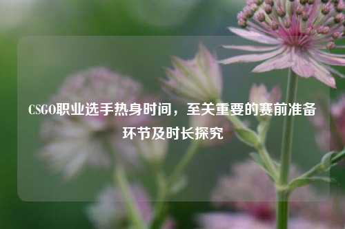 CSGO职业选手热身时间,至关重要的赛前准备环节及时长探究