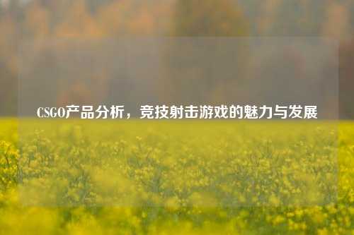 CSGO产品分析,竞技射击游戏的魅力与发展