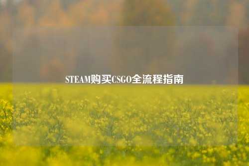 STEAM购买CSGO全流程指南