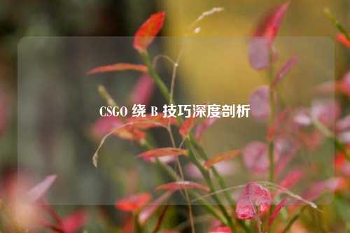 CSGO 绕 B 技巧深度剖析