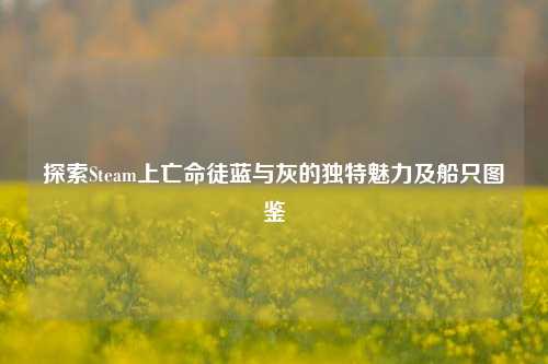 探索Steam上亡命徒蓝与灰的独特魅力及船只图鉴