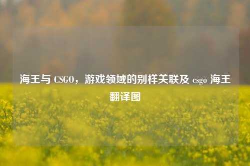海王与 CSGO,游戏领域的别样关联及 csgo 海王翻译图