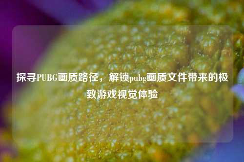 探寻PUBG画质路径,解锁pubg画质文件带来的极致游戏视觉体验