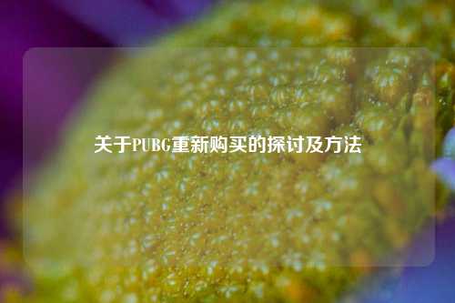 关于PUBG重新购买的探讨及