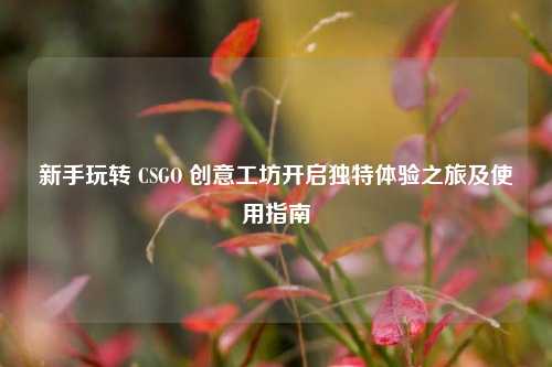 新手玩转 CSGO 创意工坊开启独特体验之旅及使用指南
